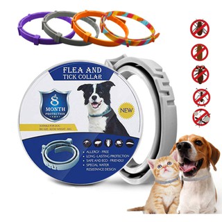 Removes Flea and Tick Collar for Dogs Cats Up To 8 Month Flea Tick Collar Anti-mosquito & Insect Rep