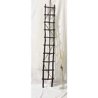 【spot goods】 ☂☂✚❈TRELLIS LADDER / TRAILING PLANT LADDER (5FT x 8”)Ladders (1)