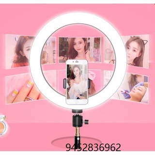 26CM LED self-timer video ring light 24W dimmable 2700-5500K color temperature (10 inch)