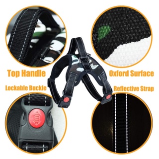 Dog harness Adjustable Dog collar Nylon Harness Collar Leash Dog Leads (2)