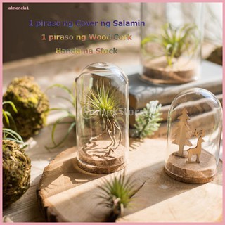 【READY STOCK】Decorative Clear Glass Cloche Bell Jar Display Case Cover with Rustic Wood Base Tabletop Centerpiece Dome Terrarium Container