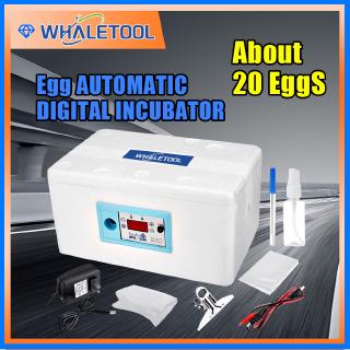42 egg Incubator Hatcher Chicken Digital Waterbed Automatic Intelligent Thermostat constant (1)