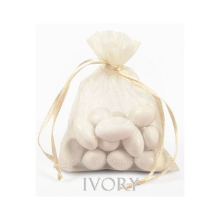 LARGE Organza Pouch - Off White or Ivory