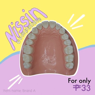 NEW ITEM! BRAND A (nissin compatible) TYPODONT REPLACEMENT TEETH