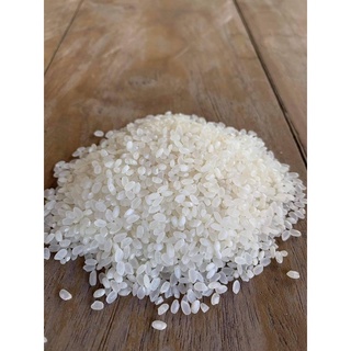 【High-end】✤▨AUTHENTIC Japanese Sushi Rice - 1 kilo