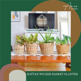 Rattan Wicker Basket Planter Woven Basket