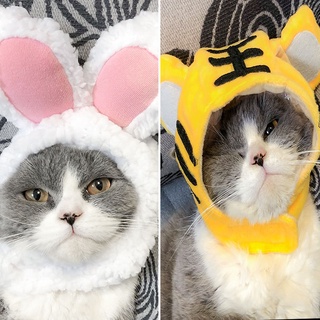 ▫Cat Headgear Cute Funny Teddy Dog Hat Cat Birthday Headdress Dressing Supplies Pet Funny Hat