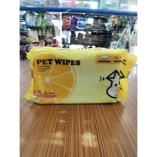 Pet Wipes 40pcs (20cm x 30cm) per pack