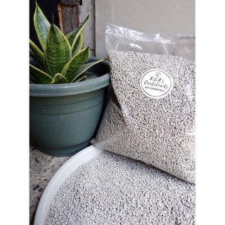 pet✺UNSCENTED Organic Cat litter Sand Flushable and Nonclumping (with moisture) 1KG