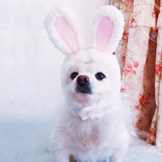 【sale】 Cat Bunny Rabbit Ears Hat Cap Pet Cosplay Costumes for Cat (4)