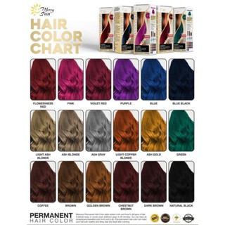 DIY PERMANENT HAIR COLOR Complete Set by Merry Sun