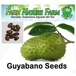 Guyabano Soursop Seeds 10seeds