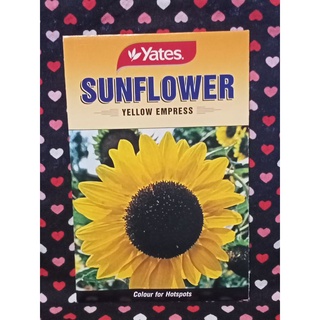 Sunflower Seeds Yellow Empress By Yates
