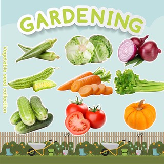 Vegetable Seeds Collection Set A — TOP-QUALITY SEEDS-Onion Tomato Carrot Cucumber Celery Cabbage-COD (1)