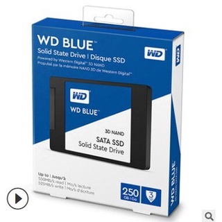 ´･ω･West Data (WD) Blue Series 250GB SSD Solid State Hard Disk (1)