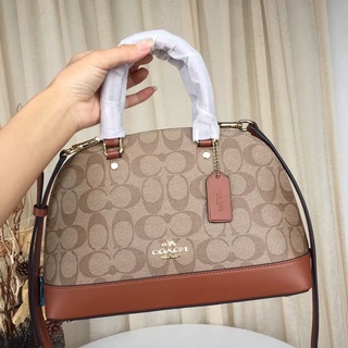 Coach mini dome with card dustbag tag paperbag receipt