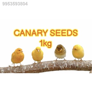 CANARY SEEDS 1kg resealable foil pouch
