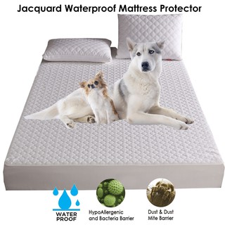 [Ready Stock]Jacquard Waterproof Mattress Protector Hypoallergenic Dust Mites Fitted Sheet Washable