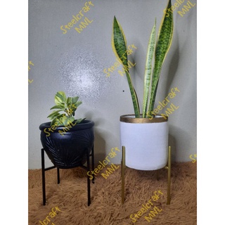 2 PC/3 PC- X Style Plant Stand - Steel