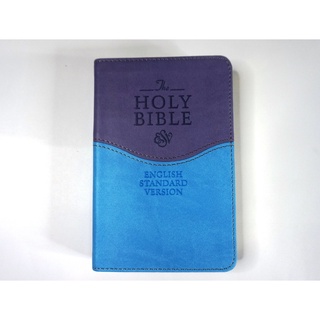 Holy Bible English Standard Version (ESV Bible Leather Bound) Purple VML6