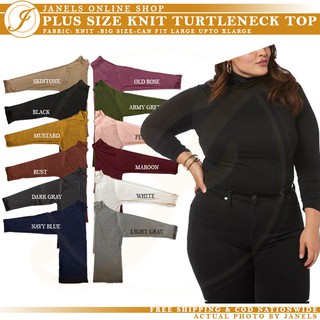 Kate Plus Size Turtleneck Longsleeve Top | Long Sleeve