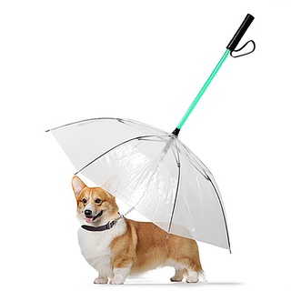 Pet umbrella; transparent umbrella; LED umbrella; glow stick umbrella; traction rope; pet supplies; umbrella