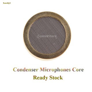 Mic 0.98\'\' Capsule Large Diaphragm Microphone Cartridge Recording Condenser