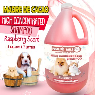 Prolific Tails Madre De Cacao Shampoo 1 Gallon RASPBERRY Scent (for Dogs and Cats) Anti mange (4)
