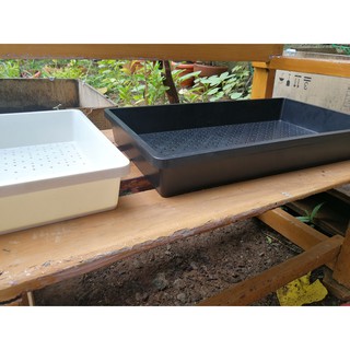 [COD] High Quality Growing Tray for Leafy Vegetables Plants, Durable Garden Tray - 1s