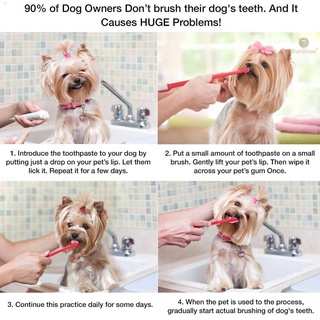 ✷▪Nunbell Oral Care Toothpaste for Pet Dog MInt Flavor pk60