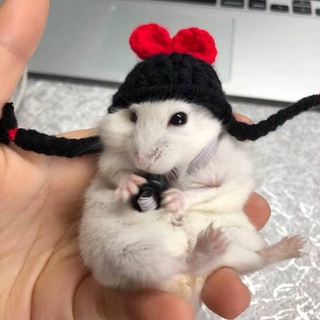 [Handmade Custom] Pet Hat Heart Mouse Hat Photography Artifact Hamster Hat Djungarian Hamster Birthday Hat pet hat hamster hat (3)