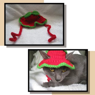 Crochet Bucket hat for Pets