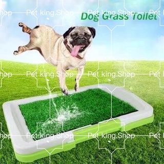 【Ready Stock】✿▬【COD】 Puppy Training Potty Pad Pet Indoor Toilet Dog TrainingPet Cat Artificial Grass
