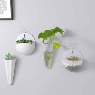 New Plant Pot Creative Acrylic Hanging Planter Pot Wall Mounted Flower Planter