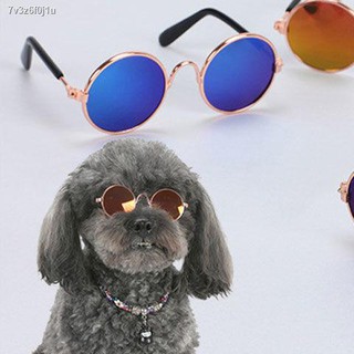 ❈┋Mini cool pet glasses, cat sunglasses, funny dog ​​personality sunglasses, pet accessories, cat gl