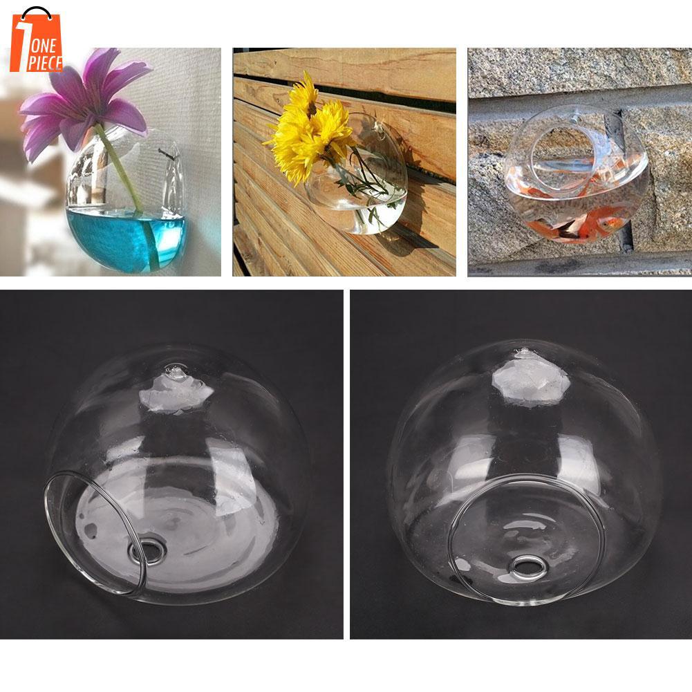 Semicircular Wall Hanging Glass Plant Flower Vase