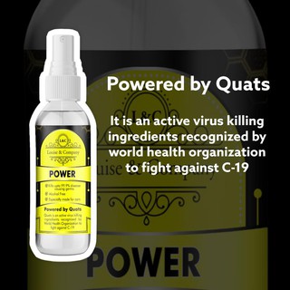 Power Fragrance Car Disinfectant Sanitizing Spray by Louise and Co