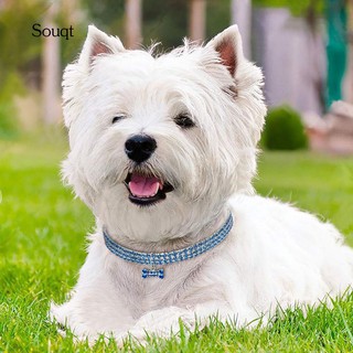 SQ_Fashion Shiny Three Row Rhinestone Bone Puppy Dog Collar Pet Supply