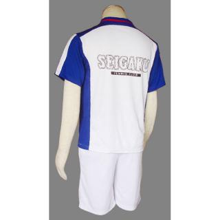 Anime The Prince of Tennis Seigaku Tennis Team Cosplay Costume Uniform Jersey (4)