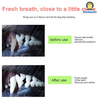 Nontoxic Bite Resistant Rubber Dog Tooth Chew Toothbrush Dental Hygiene for Dogs Cats Pet (4)