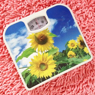 Electronic personal weighing scales