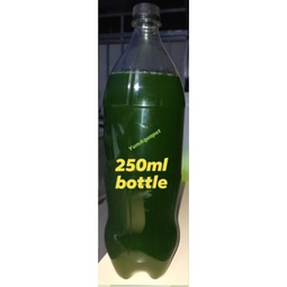 Greenwater Microalgae Starter (250ml bottle) 1 bottle only