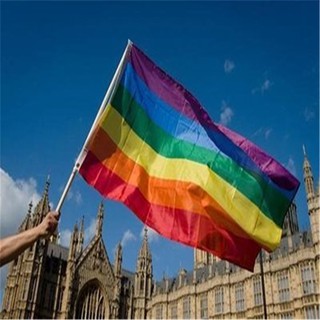 Hot Sale Lesbian 3x5 FT Decorative Large Flag Rainbow LGBT Gay Pride (1)