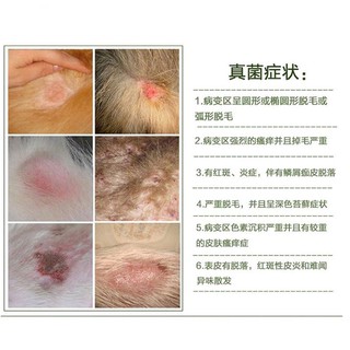 Australia Kedezhi capsules 20 for cats and dogs skin disease ringworm fungus mite dermatitis hair r (3)