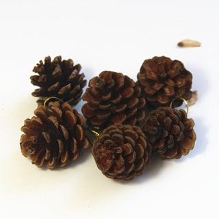 6Pcs 4-5CM Christmas Tree Decor Pine Cone Pendant Christmas Decoration Natural Pine Cone Dyed White Small Pine Cone Ornament