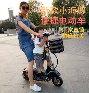 Folding Dolphin Electric Scooter E Scooter 24V 8Ah (2)