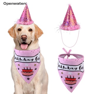 Openwaterc Pet Dog Birthday Hat With Neckerchief Birthday Party Fancy Dress Puppy Cat PH
