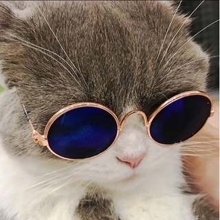pet EyewearPet Dog Cat Sunglasses Glasses Douyin Online Influencer Luxury Gold Silk Glasses Shooting