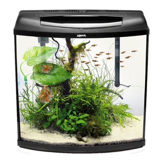 ❤tamymy❤Hammock Betta Fish Rest Spawning Double-Layered Ornamental Artificial Leaf Bed (1)