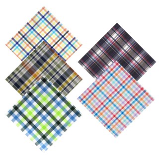 Armando Caruso Checkered Handkerchiefs Set C (1)